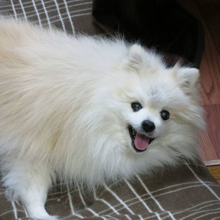 27cb26a5 205a 4ee7 bace efe57af8ae77