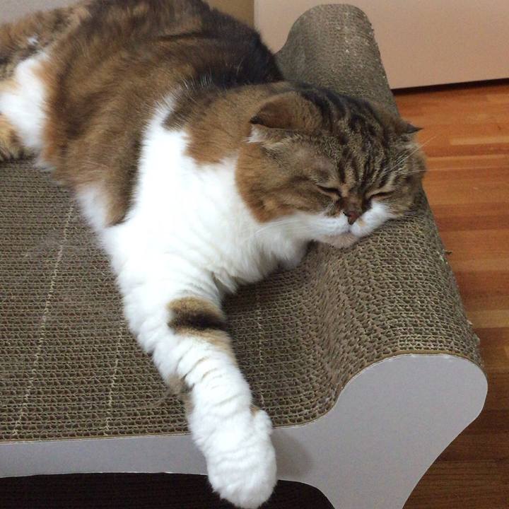 27cbc2bf f815 49c7 a2e1 d797a0084eca