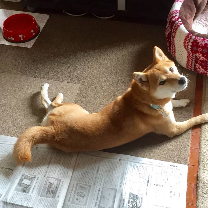 27cc2830 1c4a 40b5 a1bb 4d833d8c9165