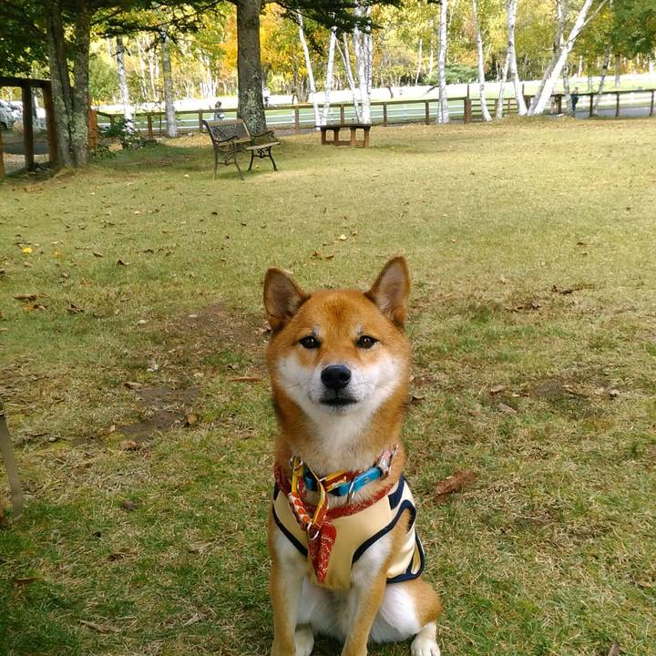 27cd8d5d b99a 4d54 89a1 6bd106e890b7