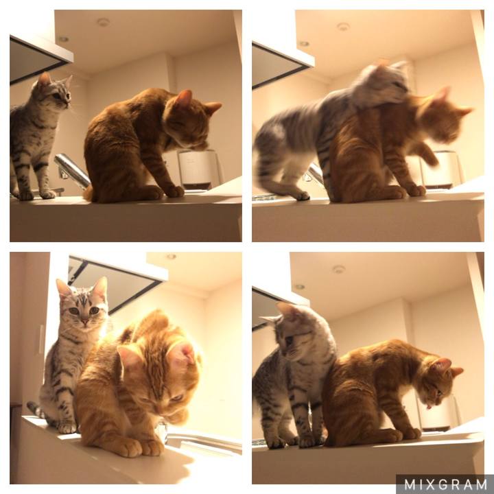 27cddc26 dd35 4073 bdb2 aa17bd252232