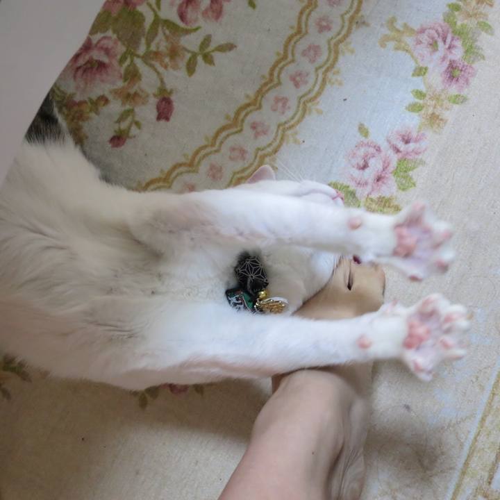 27cde0c8 4987 44ed 9a09 655b4bd06936