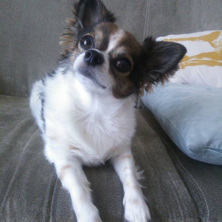 27ce1945 5f96 40af 9f8a 973da12292f3