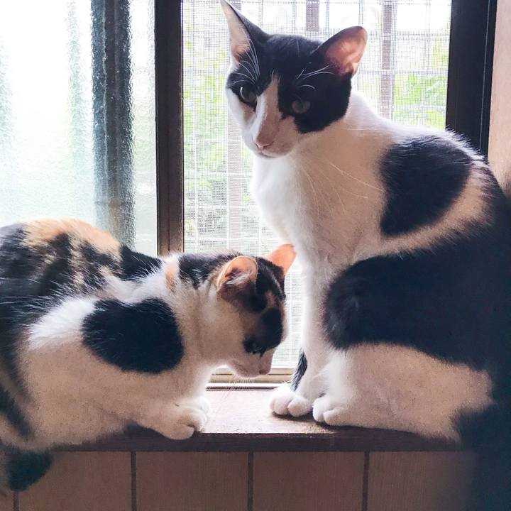 27ce2e3d c889 431d bcc5 3e5570be43a3