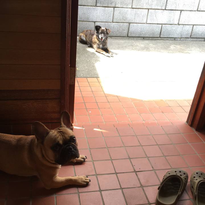 27cf28f0 a7eb 4513 9302 b3ddbb4b6675