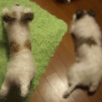 27cf6b08 7994 49d2 897e ff2249bdbf12