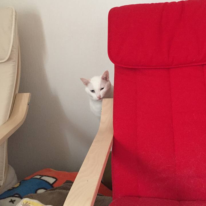 27cf6d6c 563e 4cfd bfb2 0f7bc2857de2