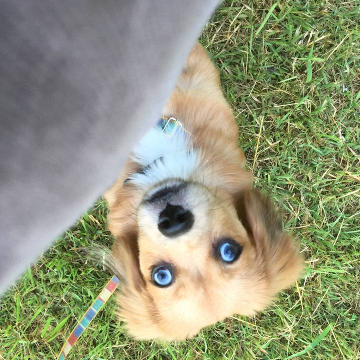 27cfb16c 9fe0 4abc 80e5 a9693d6e7f7d