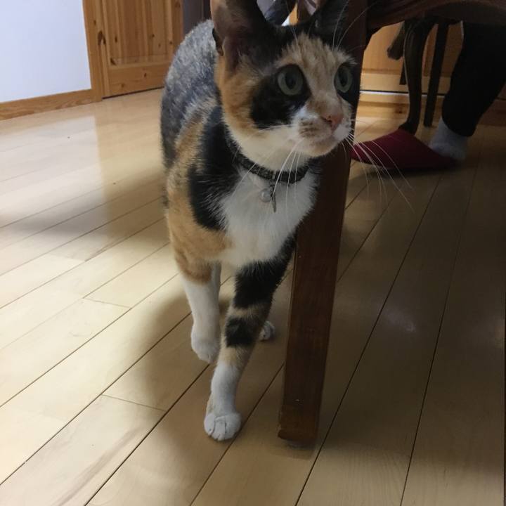 27d033c5 abbc 4181 89fe 72d7f236bf1e