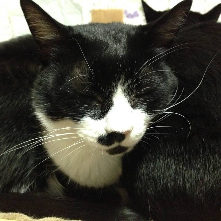 27d05107 beed 4c33 b2f5 dc823fd9c7fe