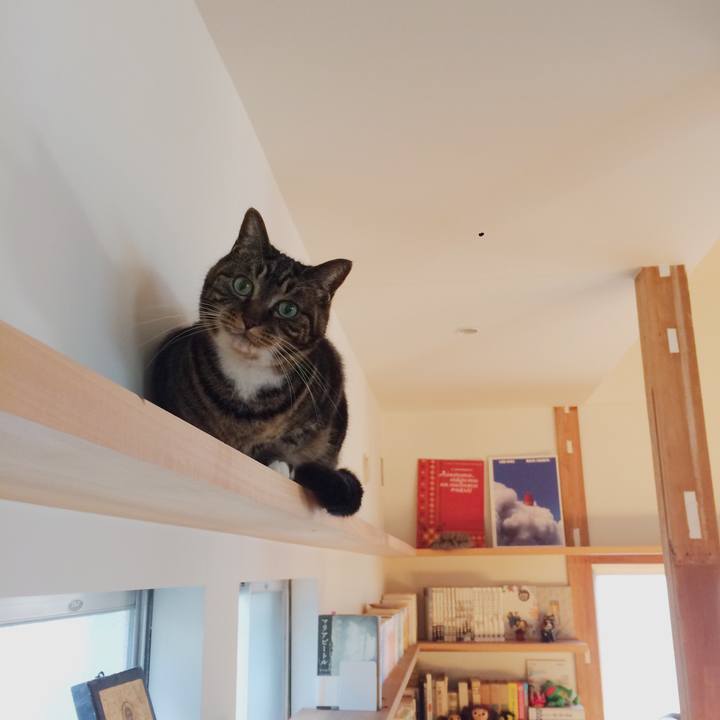 27d0733b 145c 4d8c a56a 4d8a80520ec5