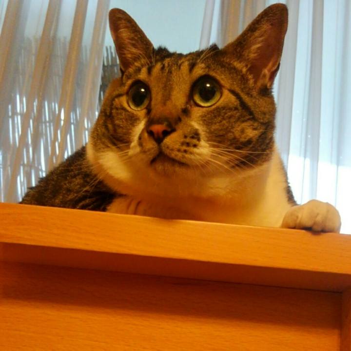 27d0bb31 f5e4 495c bd50 7858f150ebe9