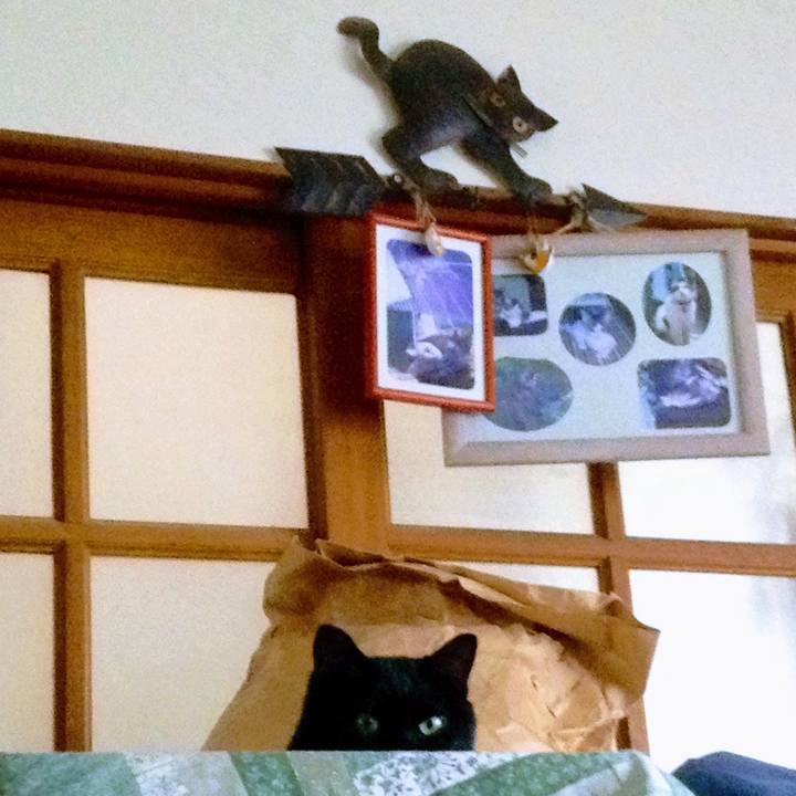 27d1e374 a2b7 41d7 a852 3991907d8846