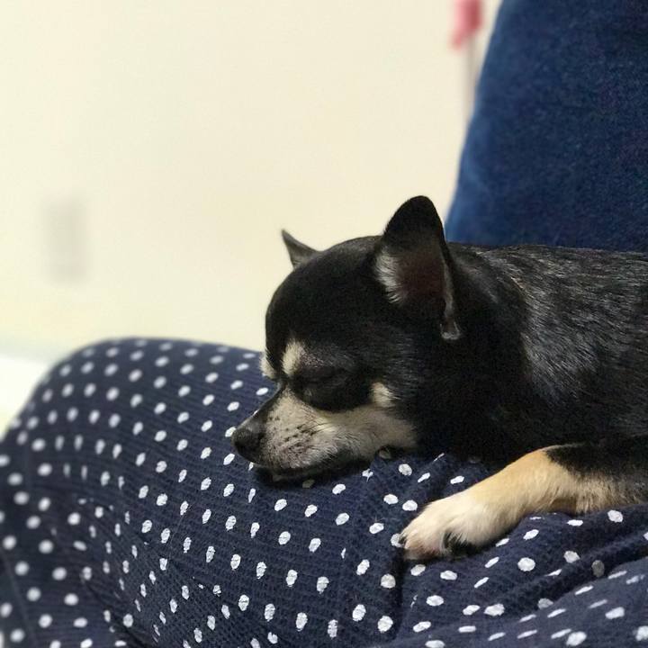 27d21a8e 6376 411b 9dc3 5d98850ca8ea