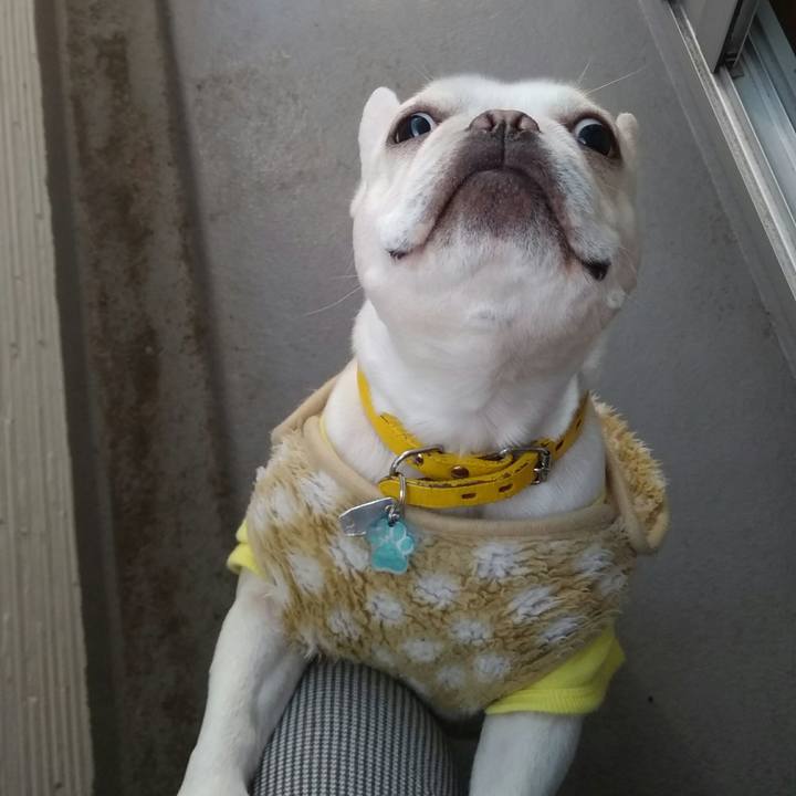 27d2404d fce6 4162 b7ff f7766f288251