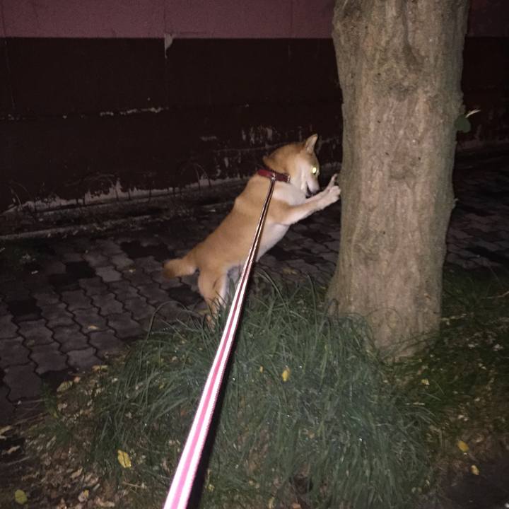 27d25385 424a 4302 bc54 9aef4b4d6bb3