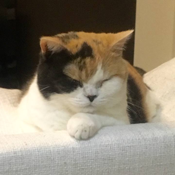 27d2816d 48de 44c7 a6a9 1c6f4986d479