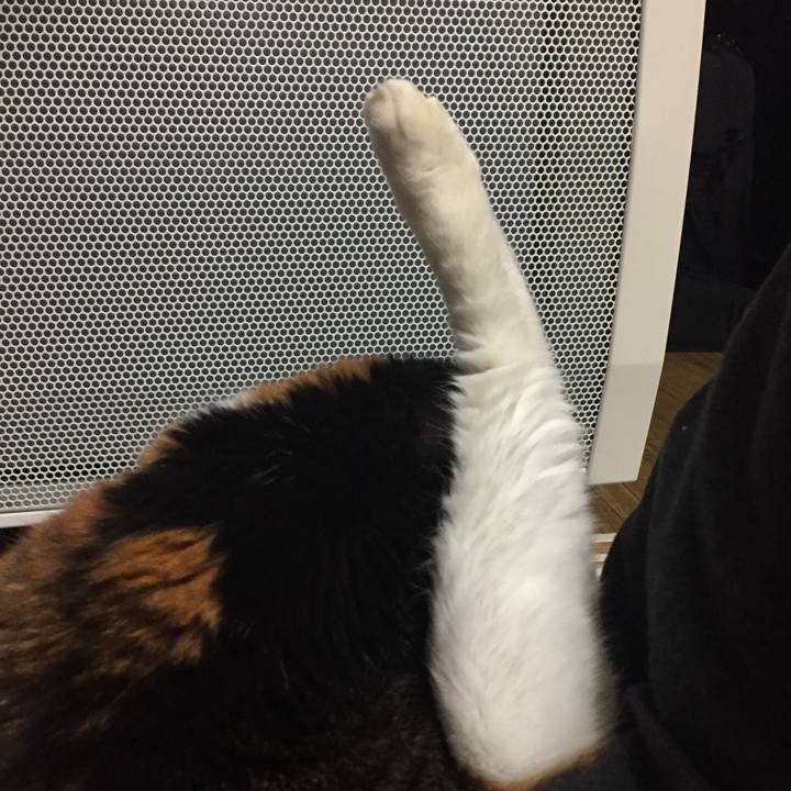 27d28a5a addb 4e38 ba2f 3085fd28ebf6