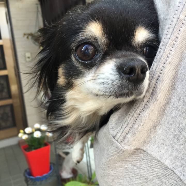 27d29085 941a 4689 b2e3 c2ee540371ca