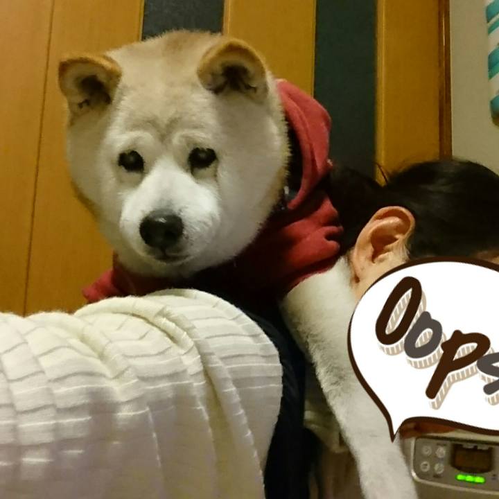 27d29a49 d6cd 4c2a bf95 4d02a1b15816