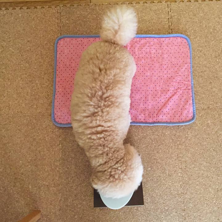 27d2d7b1 b30b 42f3 9e7e 11799e07b259