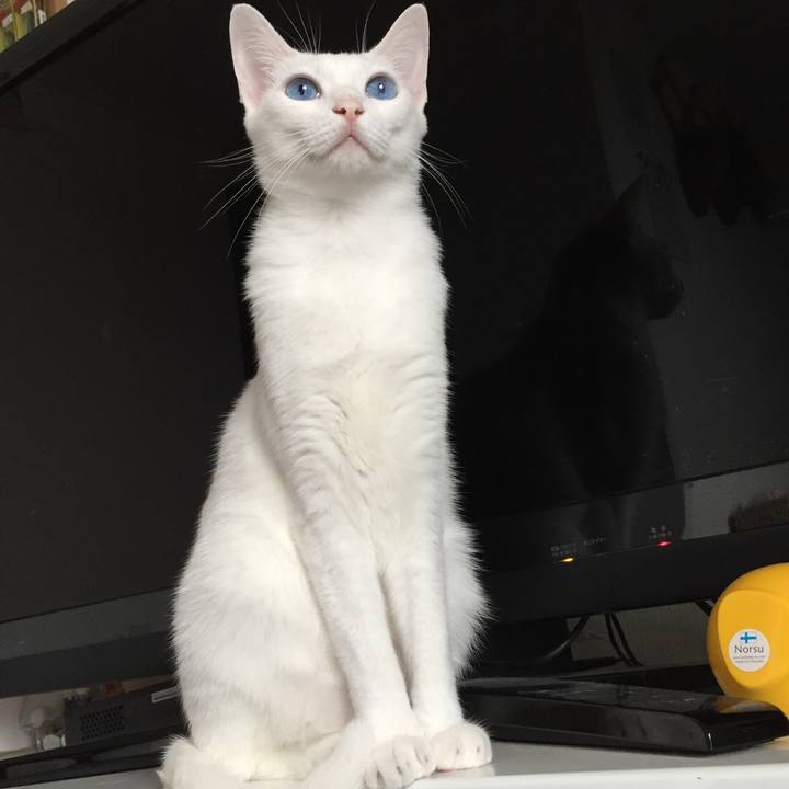 27d40b53 4555 4e09 9bf1 34d758f3f927