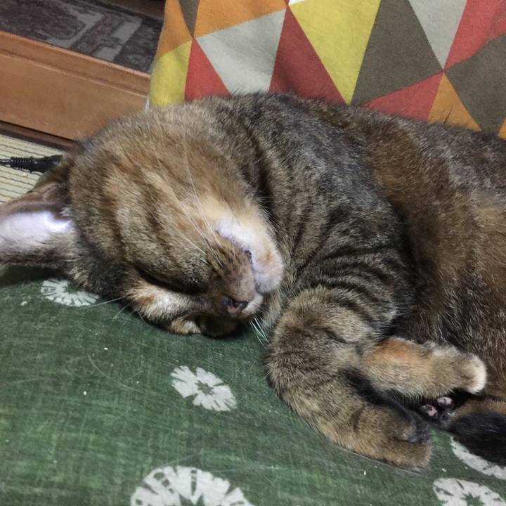 27d48477 f722 43d7 bc0f 154250ee82f2