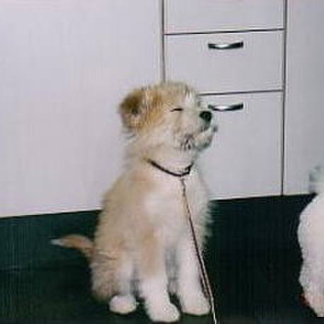 27d4acdb d402 4b39 95db 08be25c31b6f