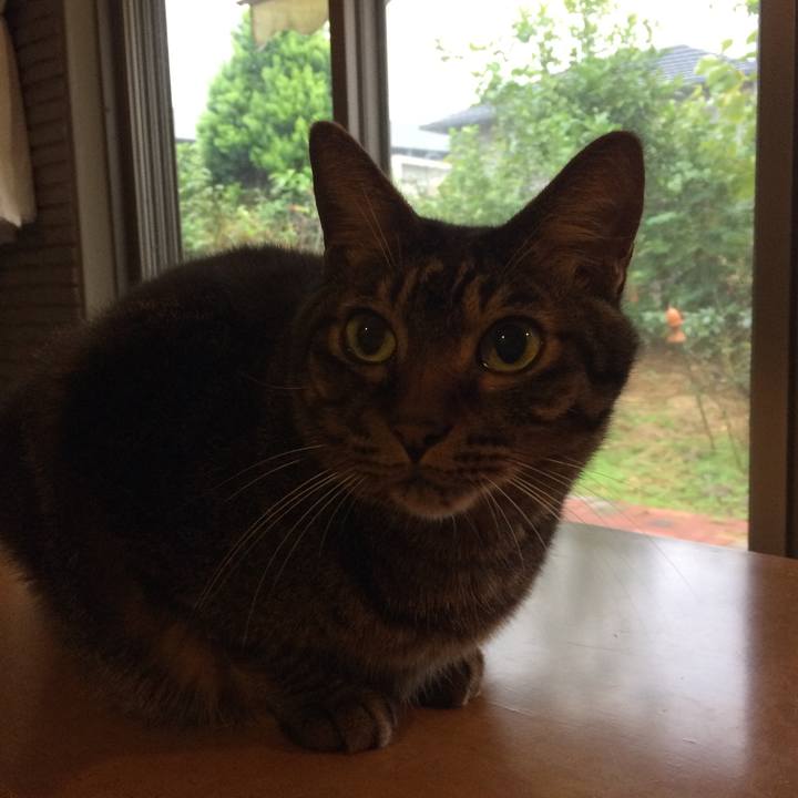 27d4bec7 049c 46e5 bfd2 25bc4adc4560