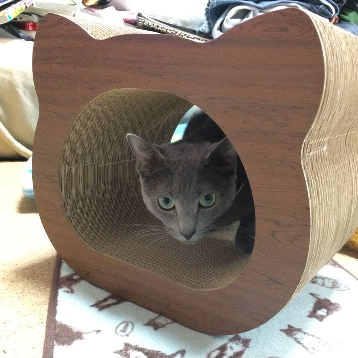 27d53cc1 e87d 4e54 b4a2 9dc9132c2bbb