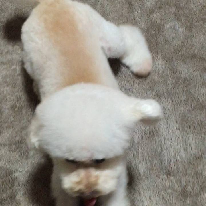 27d54fa6 f2d9 4bb2 be60 6ac9e7c3d79f