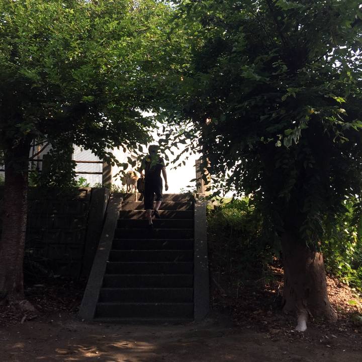 27d5d40c c342 4b92 b7ed 6f615fe47f57