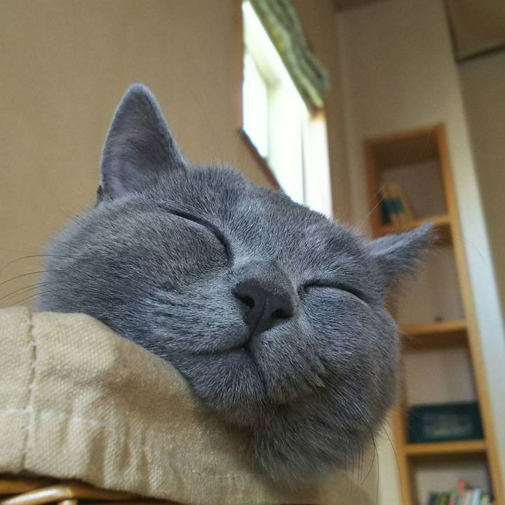 27d64353 2624 419e b789 342636d05dfc