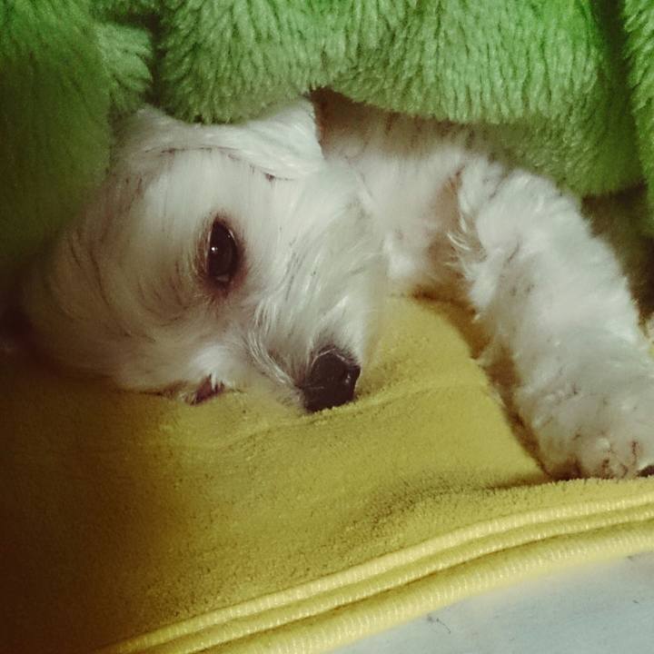 27d68c8f a3e5 40d3 b093 a7e5ed100674