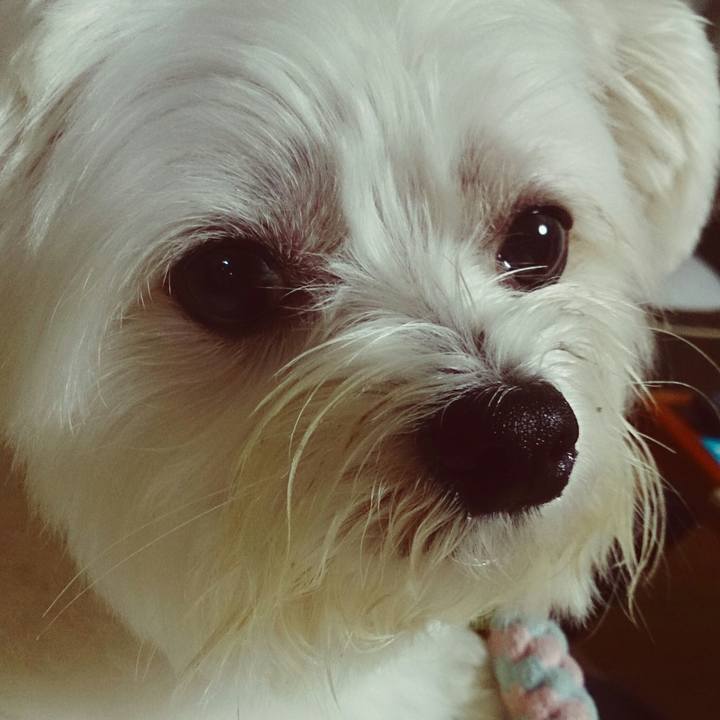 27d6b07b 6d8a 4ecc aee0 2268f85d5d5e