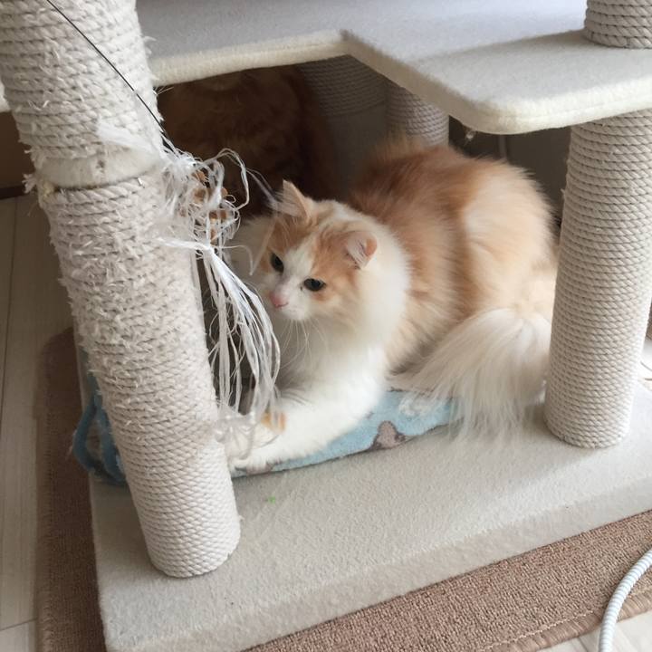 27d70757 840e 479c 8dbb 2d38961b2e3d