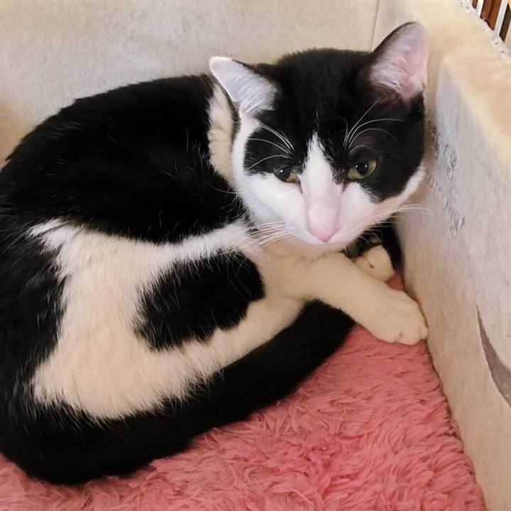 27d765aa 549c 4527 a1af 07461ac44a99