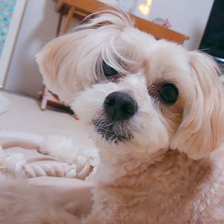 27d7a876 b6e5 4938 95b3 fb9f69f11ec9