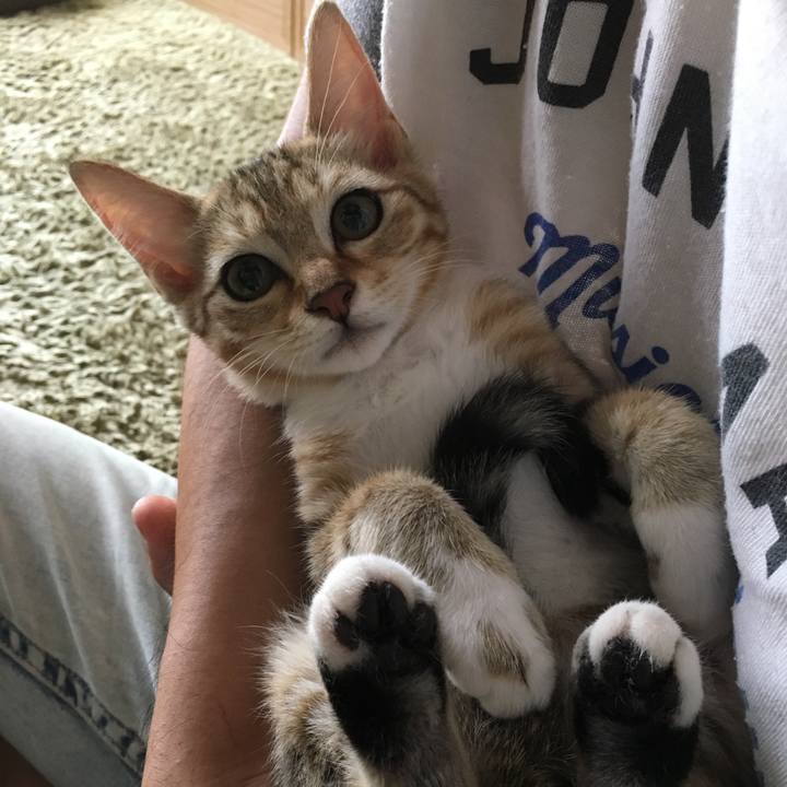 27d83096 b98b 496b 8246 60ba1a6b956b