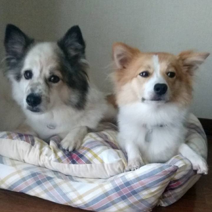 27d8b6ae fc68 40d3 8872 5dcc21fb2fe9