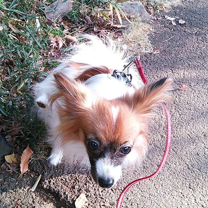 27d94f4b 8edb 4690 ba56 9ffec93a91d6