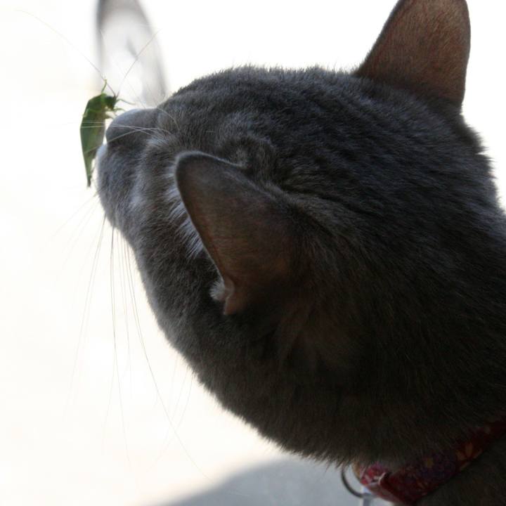 27d9b005 b50d 4b67 934a 3ea52a547875