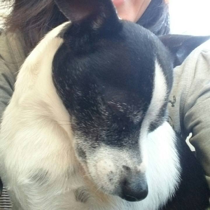 27daef2b 7d05 47ba 97d0 54bbc827c330