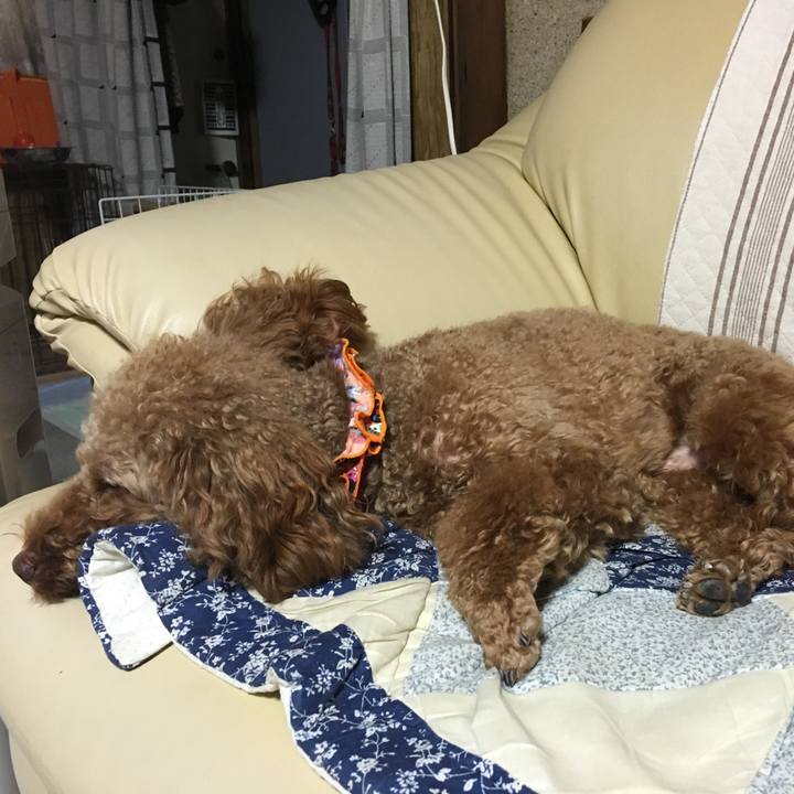 27dbd04e 7fea 493b bc7f 53dc11faef33