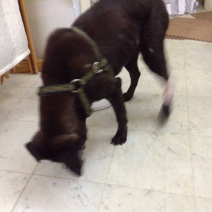 27dbfed2 b4fb 4f5b 8304 f6b0a5a47b62