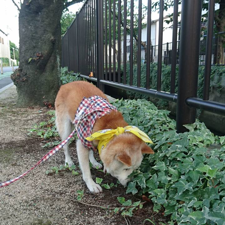 27dc54fc ceaf 4480 a342 533a3954ba0c