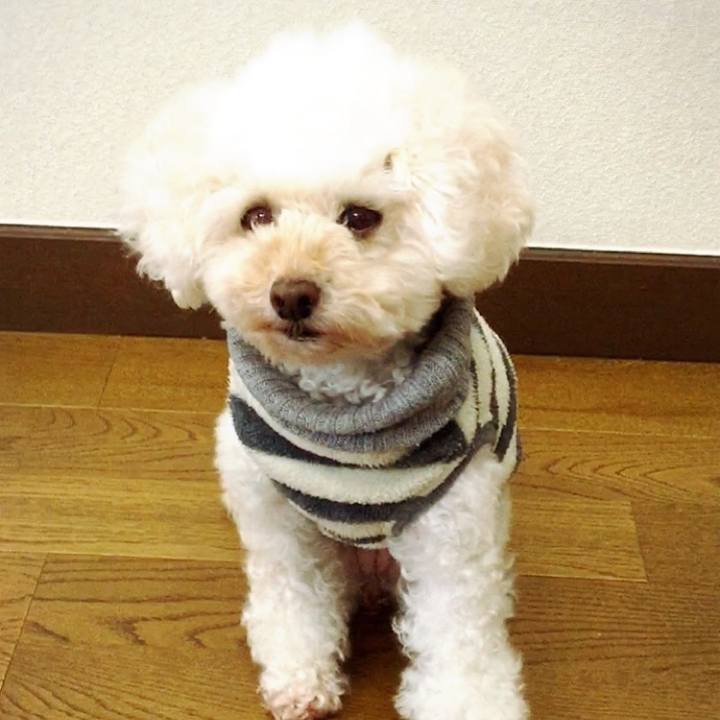 27dce4d8 896d 41c9 861b 85ccc034ee87