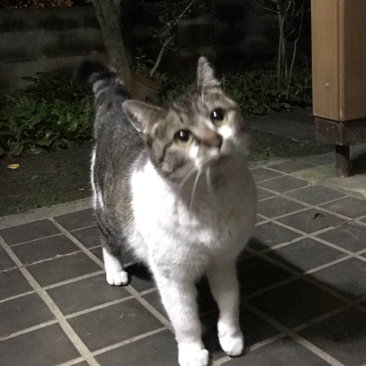 27ddb026 639d 4c70 9ea8 ba224e9f3a0c