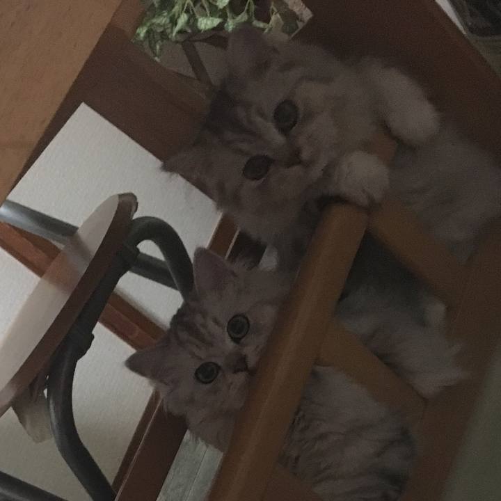 27de7364 5219 457e bf56 f7648fc9b143