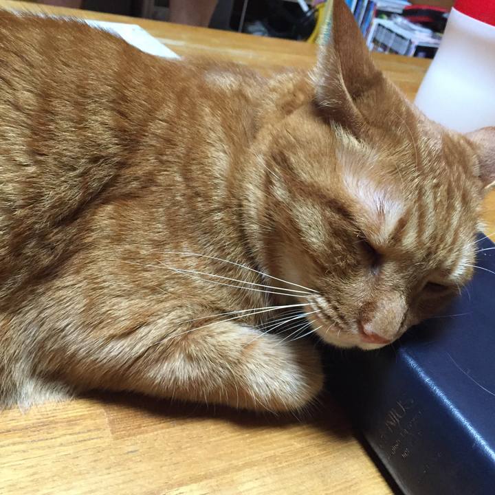 27de9c92 adda 43e8 98b7 a99f409eb5e3